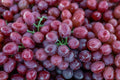 Grape