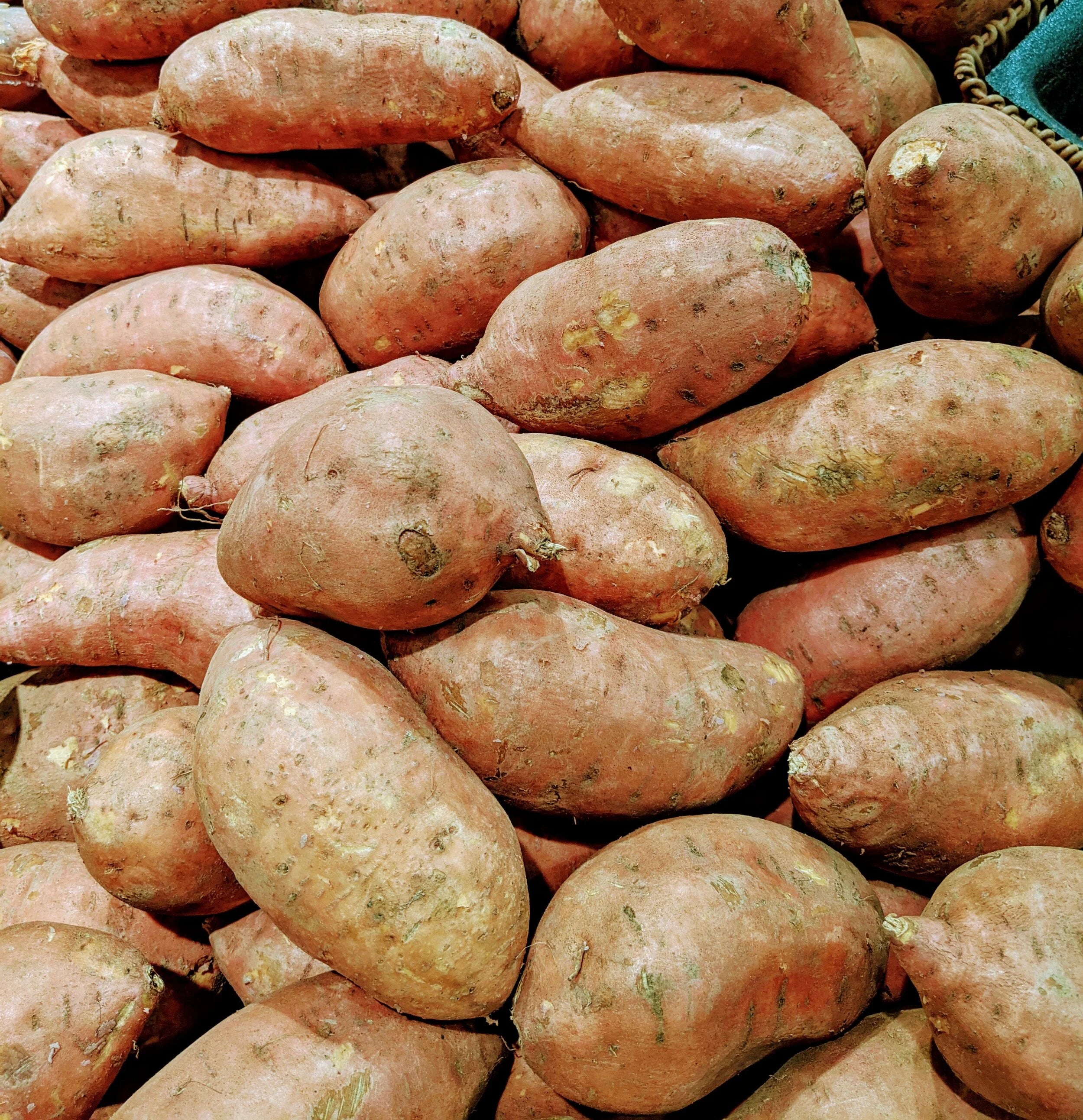 Sweet Potato