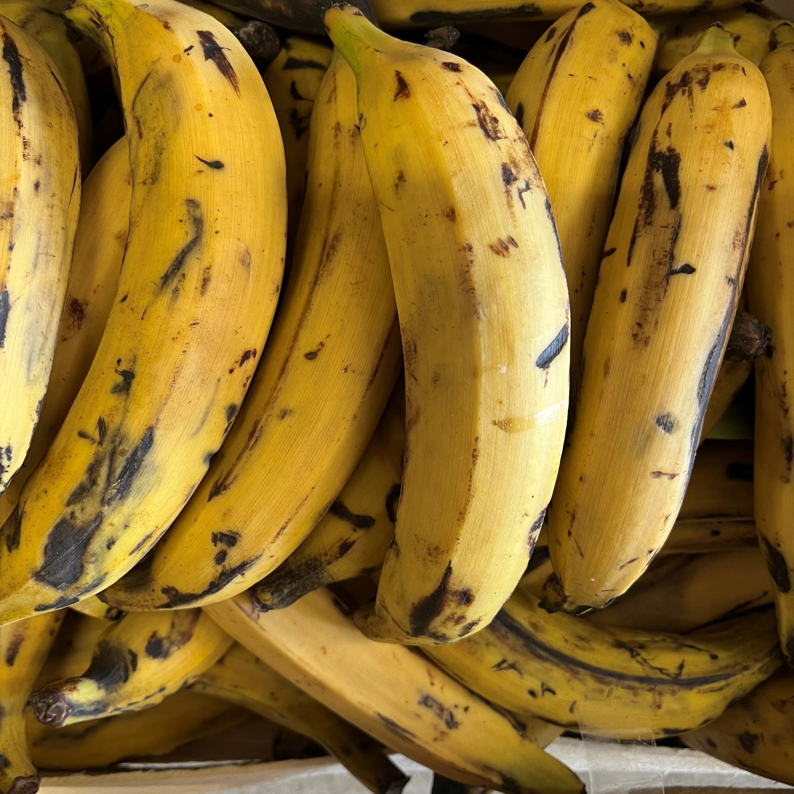 Plantain