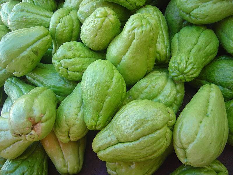 Cho Cho (Chayote)