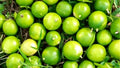 Lime