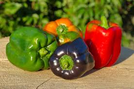 Sweet pepper