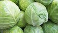 Cabbage